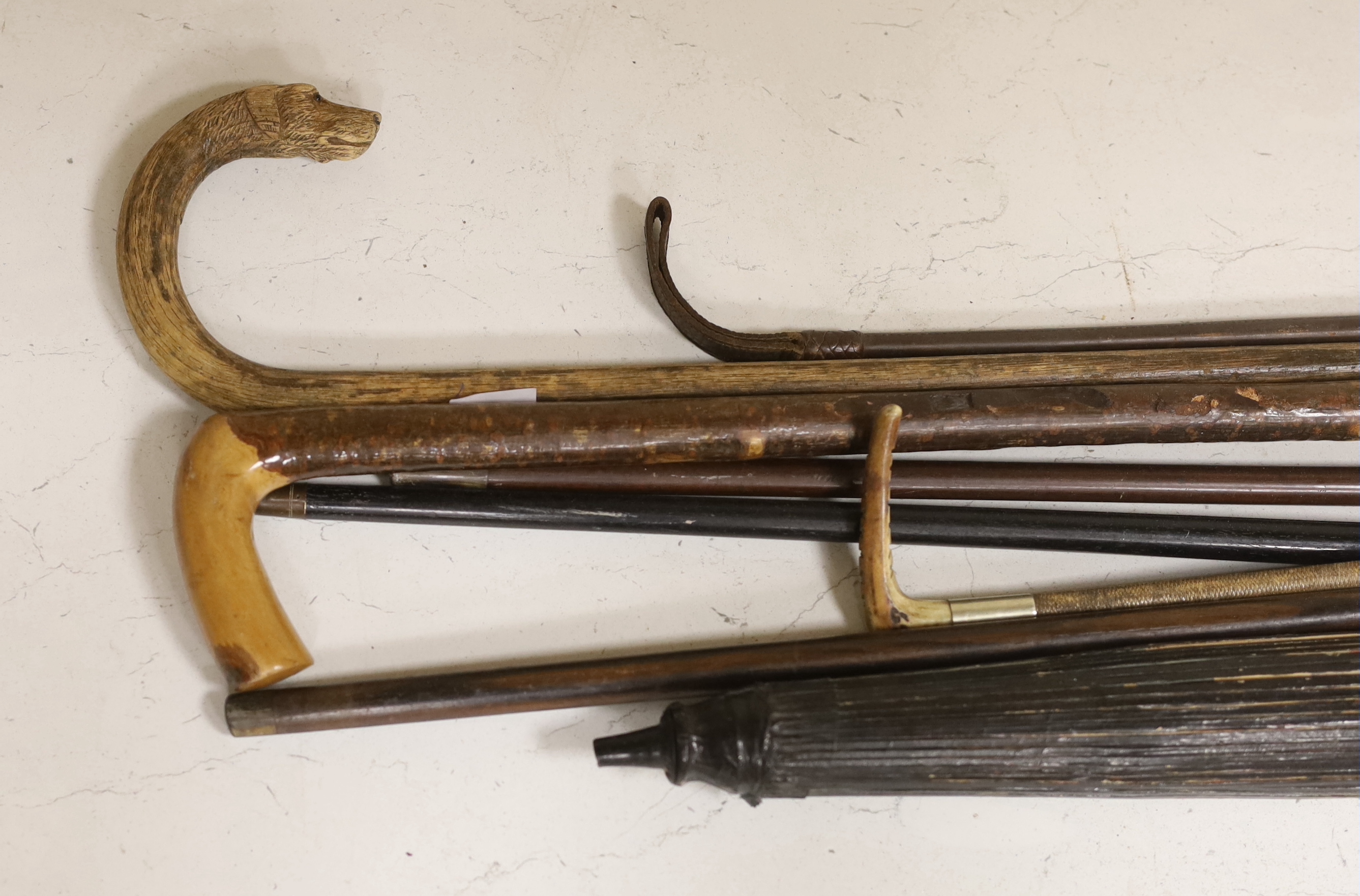 A horn handled presentation metal mounted walking stick, four others, two riding crops and a paper parasol, presentation walking sick 91 cm long